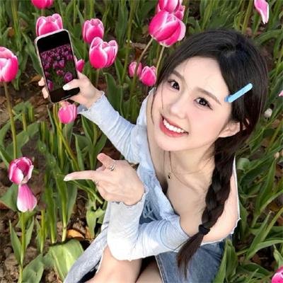蠢蛋进化论